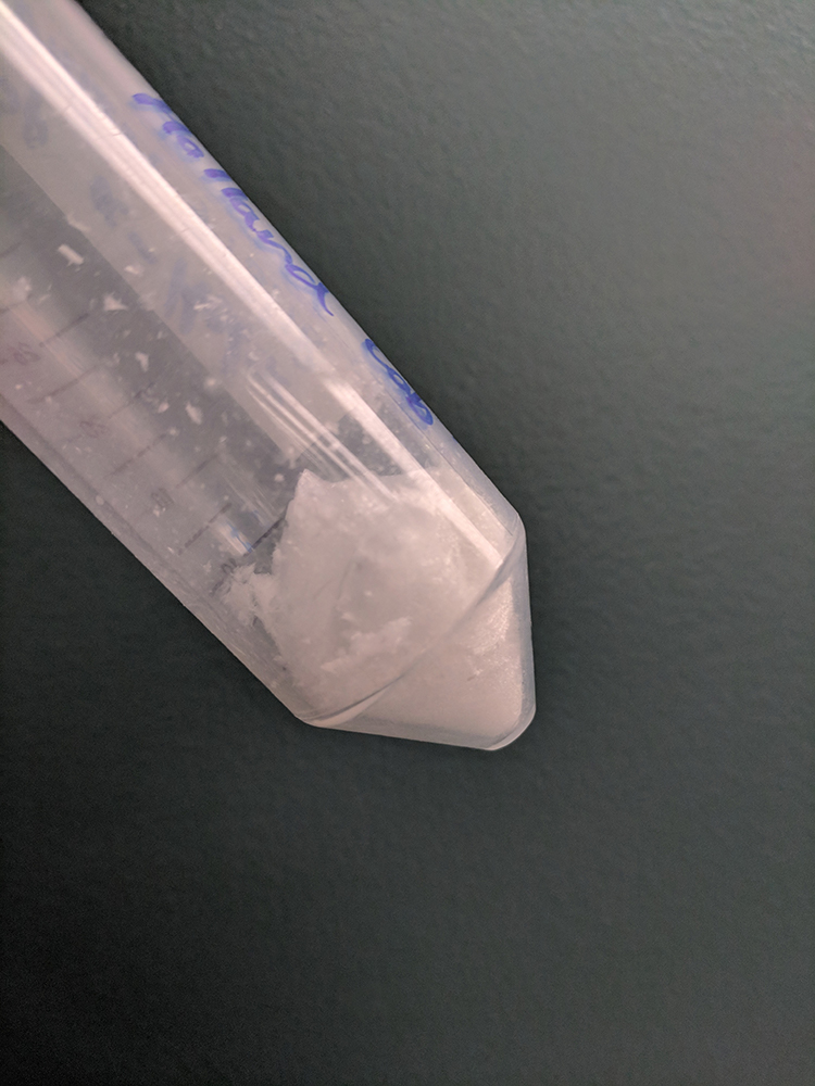 A centrifuge tube containing a synthesised peptide as a white crystaline powder.