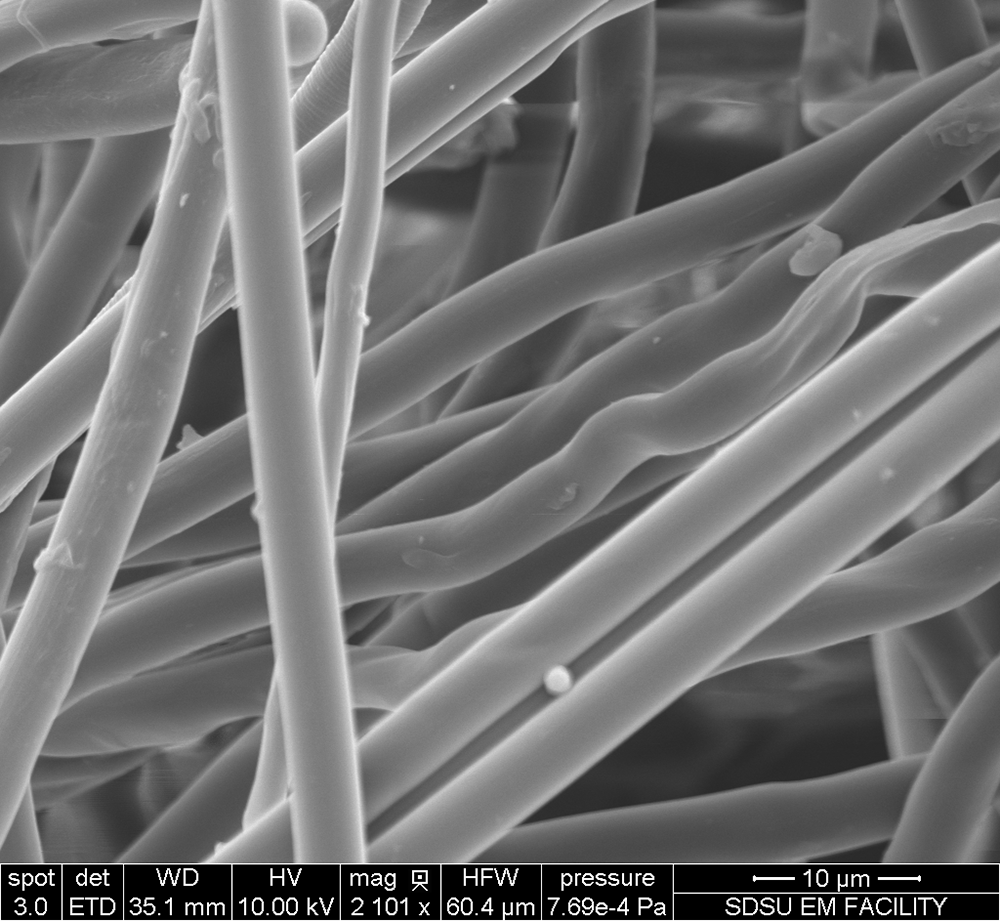 A black and white electron micrograph of dragline spider silk.